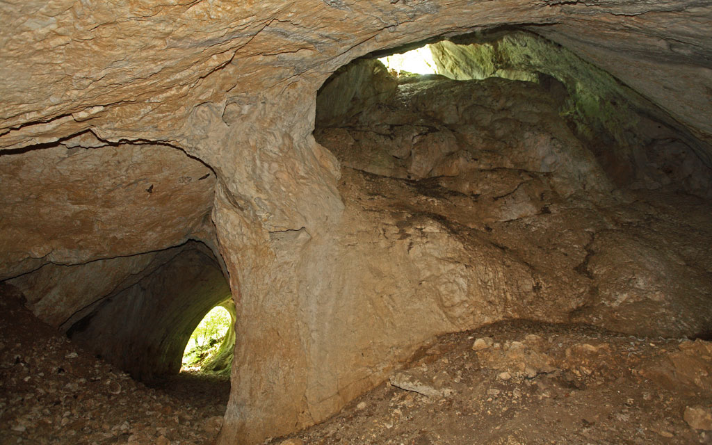 Bogovinska pećina
